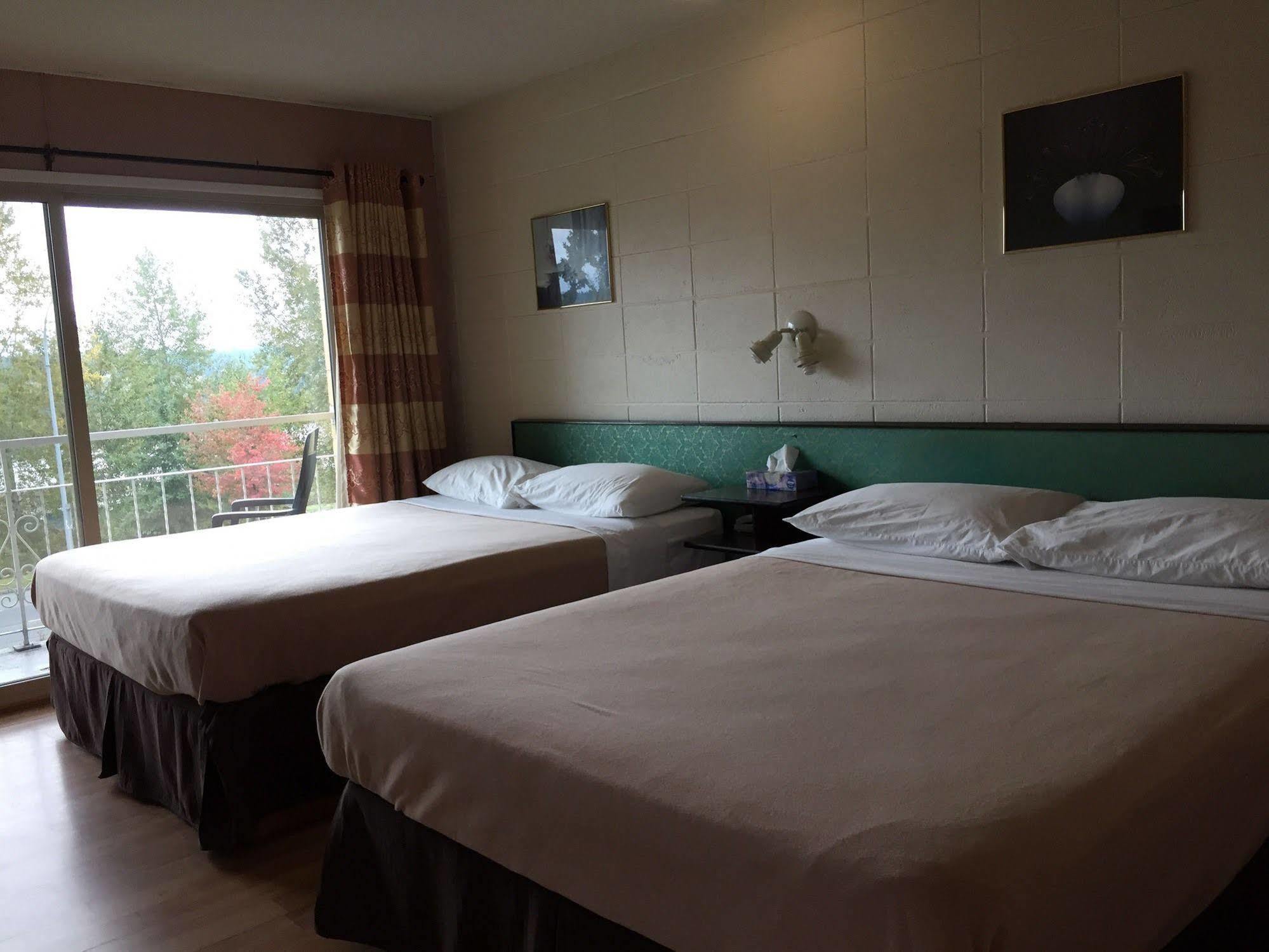 Holiday House Motel Ladysmith Eksteriør billede